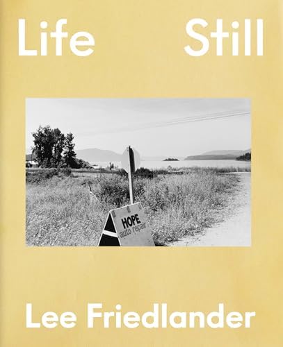 Lee Friedlander: Signs: Friedlander, Lee: 9781881337485: Amazon